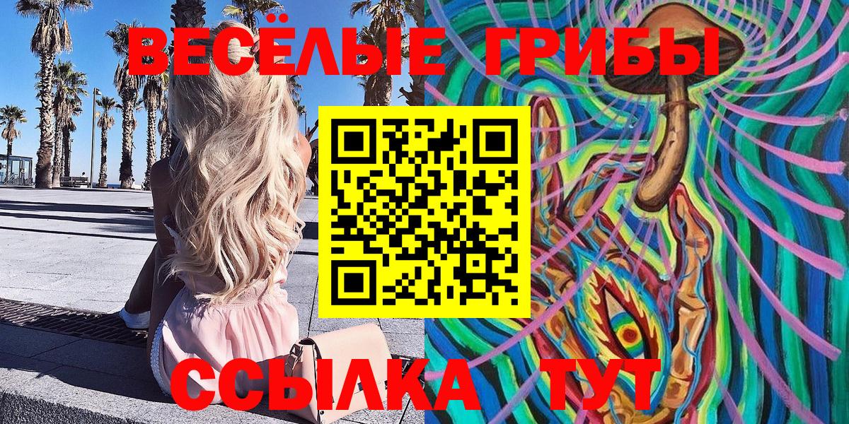Псилоцибиновые грибы Psilocybe  Псилоцибиновые грибы мицелий  Юрга  Вход с VPN 